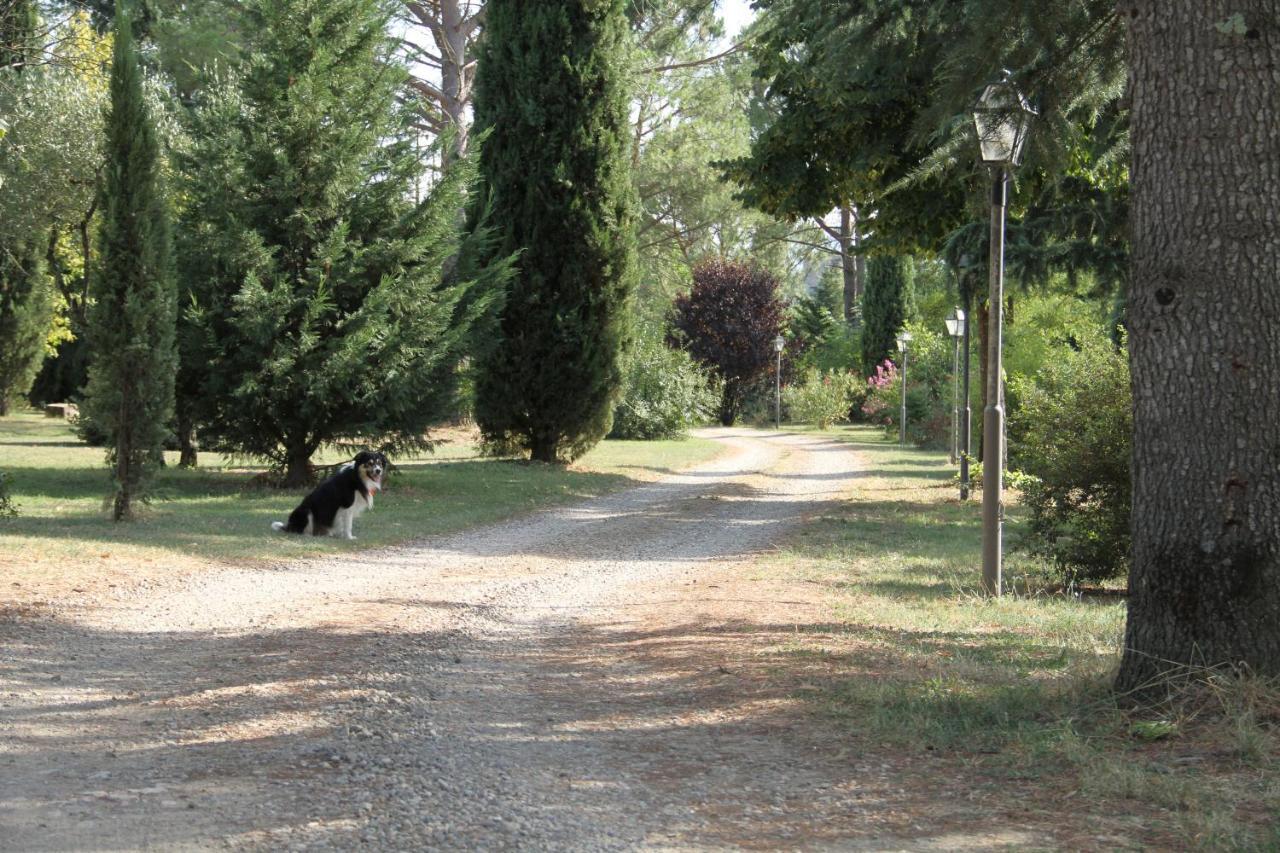 Villa Rigacci Reggello Exterior photo